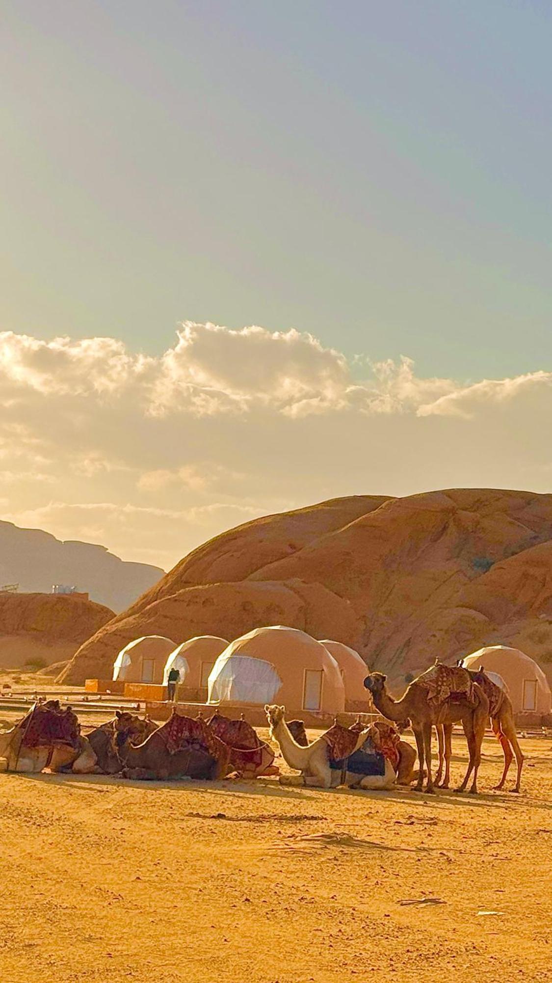 Wadi Rum Anwar Luxury Camp Esterno foto